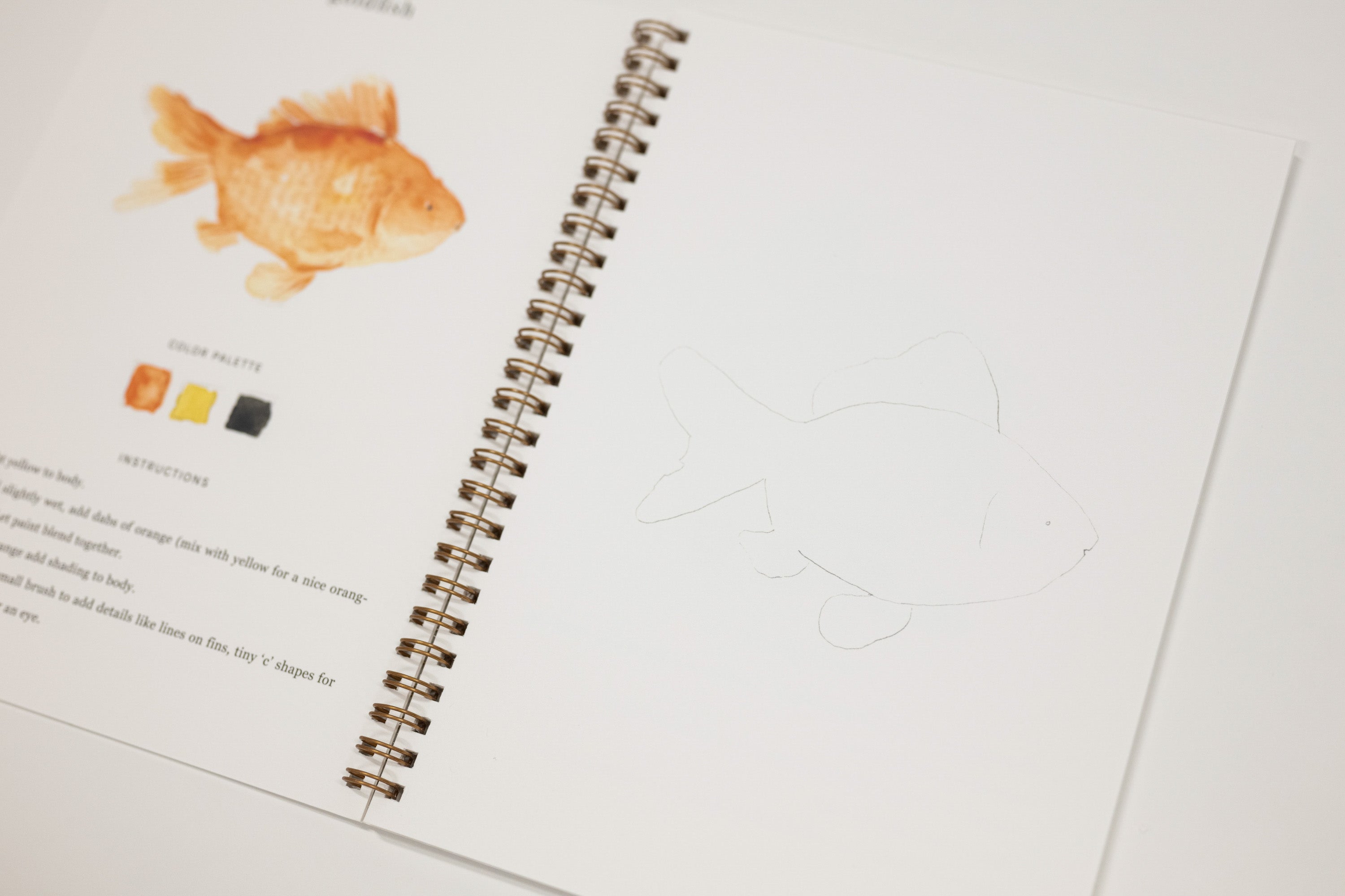 An open spiral-bound coloring book page featuring a goldfish illustration with color swatches and instructions, alongside a lightly sketched goldfish on the blank page.