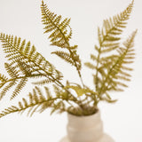 Ferns in a beige vase on a white background