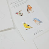 A close-up of printed bird artwork sheets on a white background, showing watercolor-style birds and partial line drawings on additional pages.