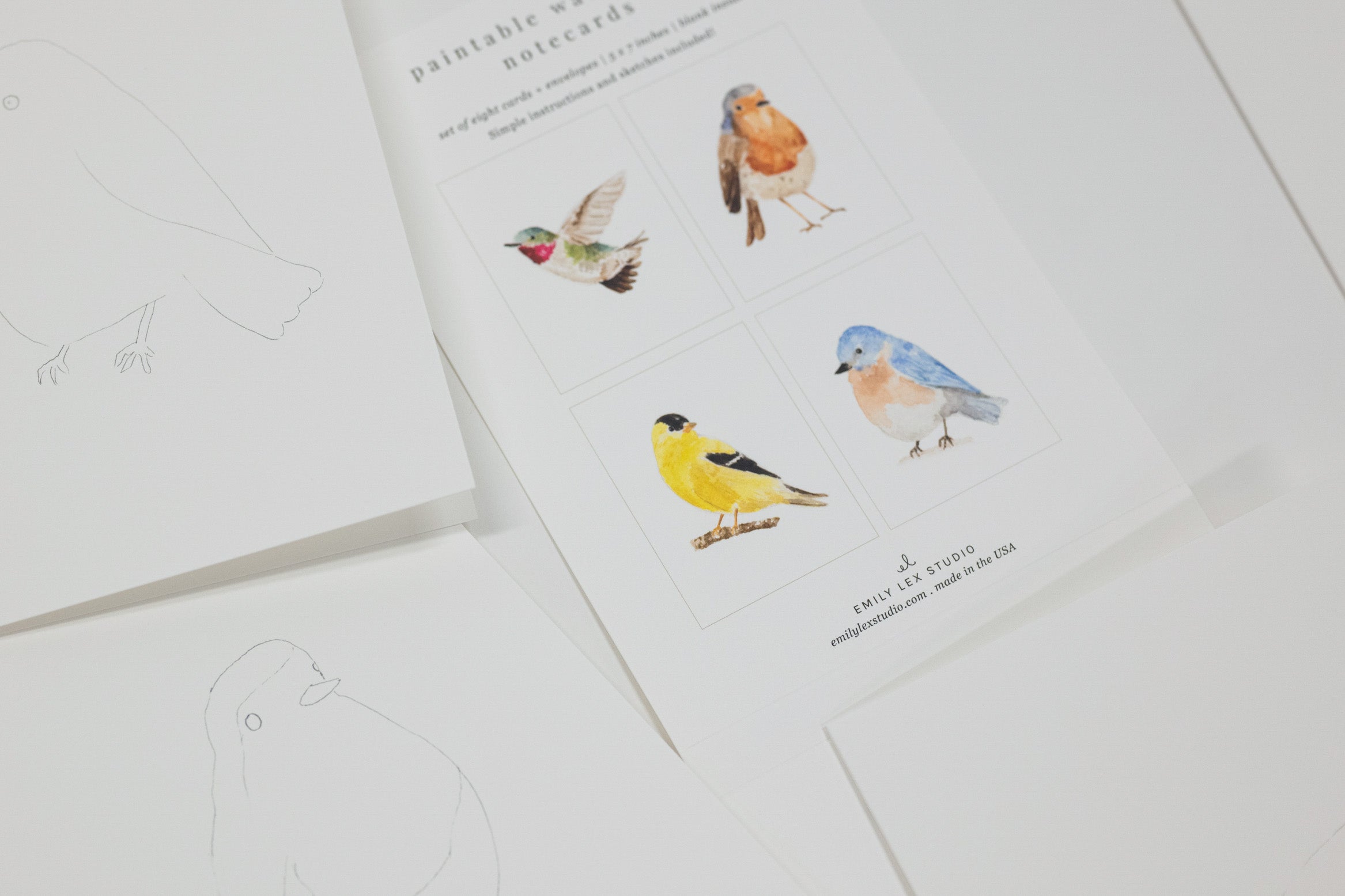 A close-up of printed bird artwork sheets on a white background, showing watercolor-style birds and partial line drawings on additional pages.