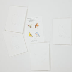 A set of white art cards featuring watercolor bird illustrations, arranged on a light gray background. One card in the center shows four colorful watercolor birds, while the surrounding cards display simple line drawings of birds.