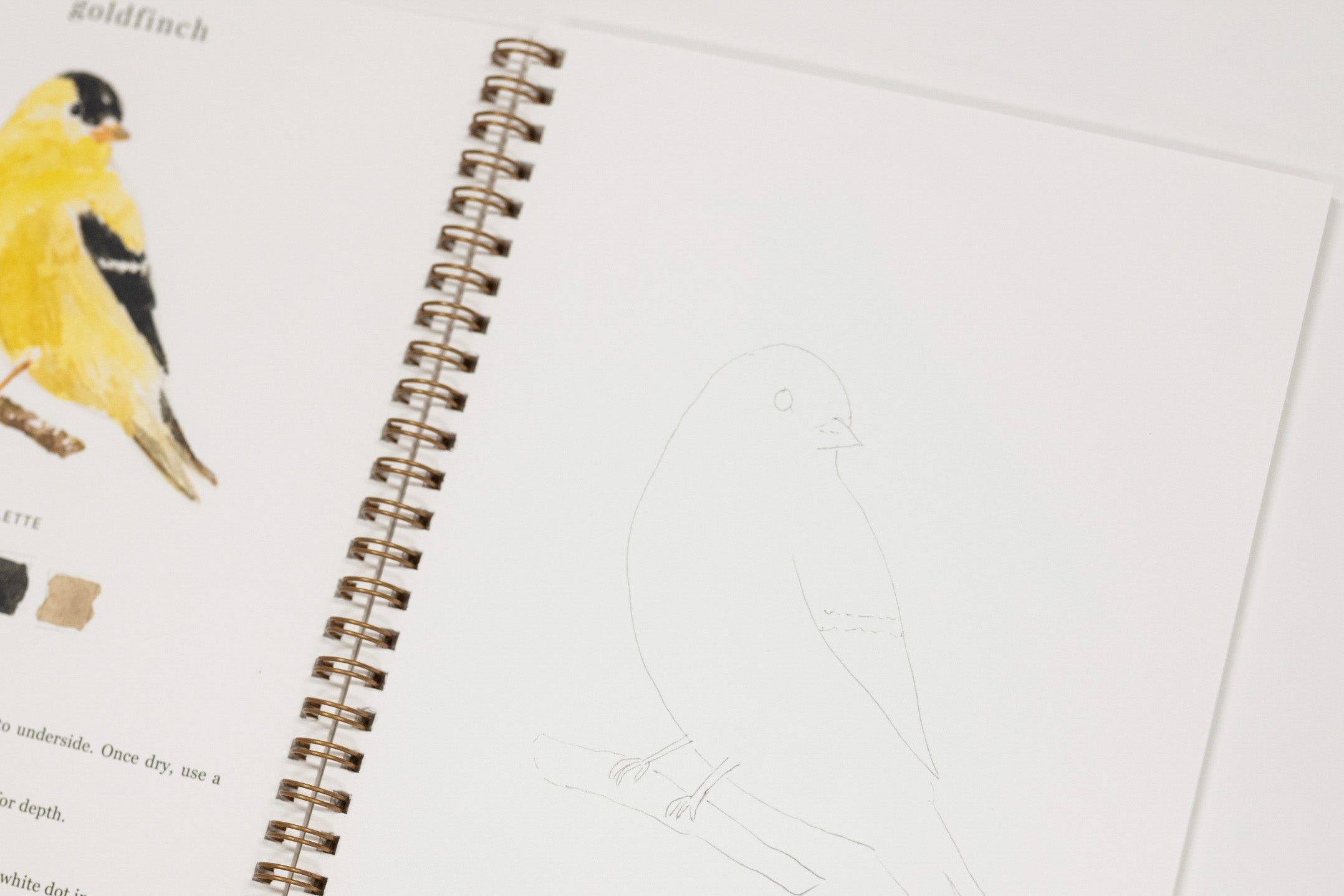 An open spiral-bound sketchbook showing a printed bird illustration on one page and a faint pencil drawing of a bird on the other.