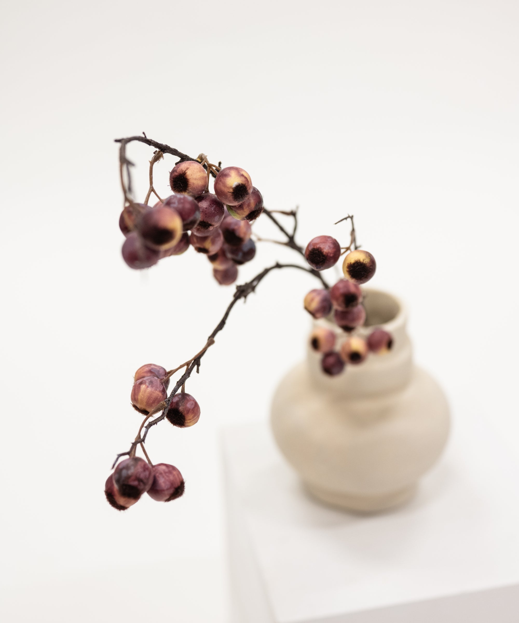 Small beige vase with a branch of berries on a white surface