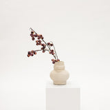 White vase with dried branches on a white pedestal against a white background