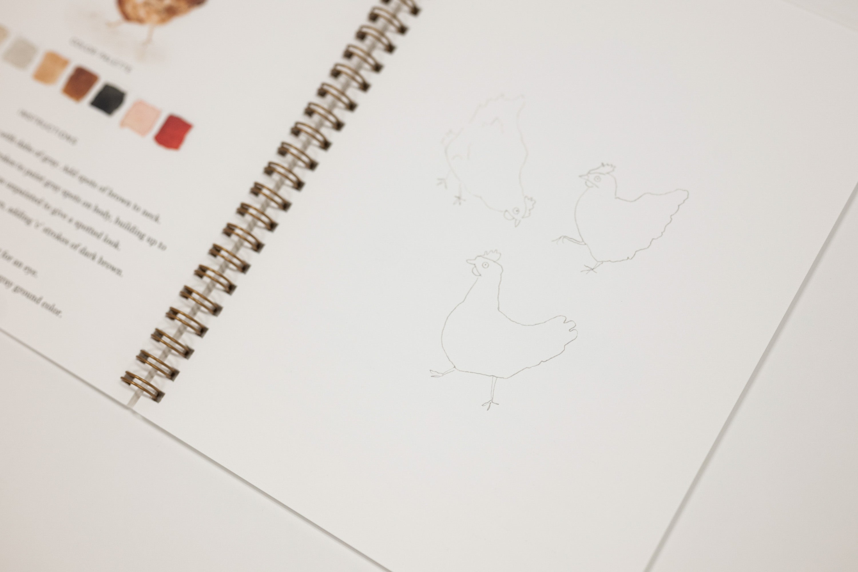 An open spiral-bound sketchbook or art journal on a white surface, showing faint chicken line drawings on one page and a small color palette swatch section on the left page.