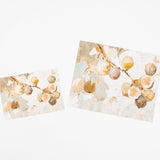 Two rectangular art prints or cards with a watercolor-style botanical design of pale peach and tan fruit on a soft off-white background, shown on a plain white backdrop.