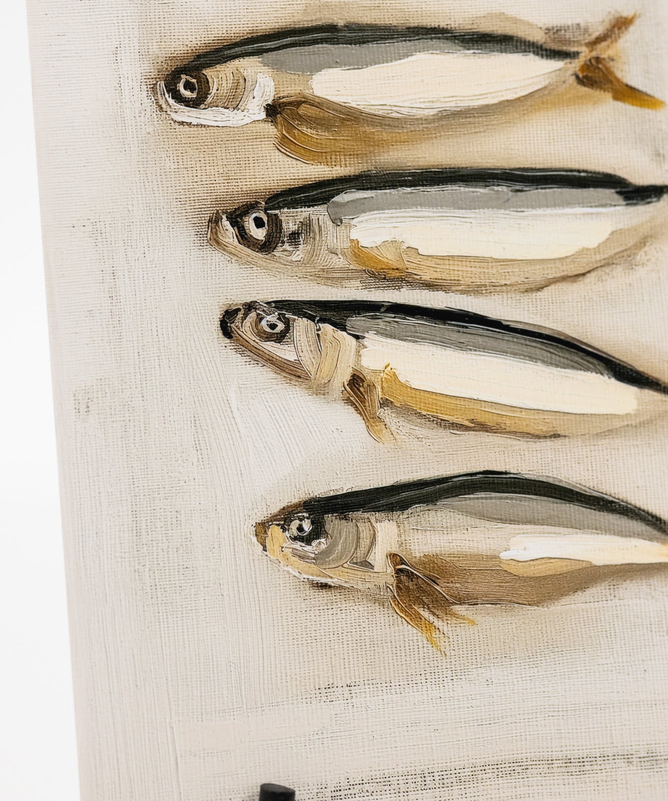 Four preserved fish on a white background with a black stand