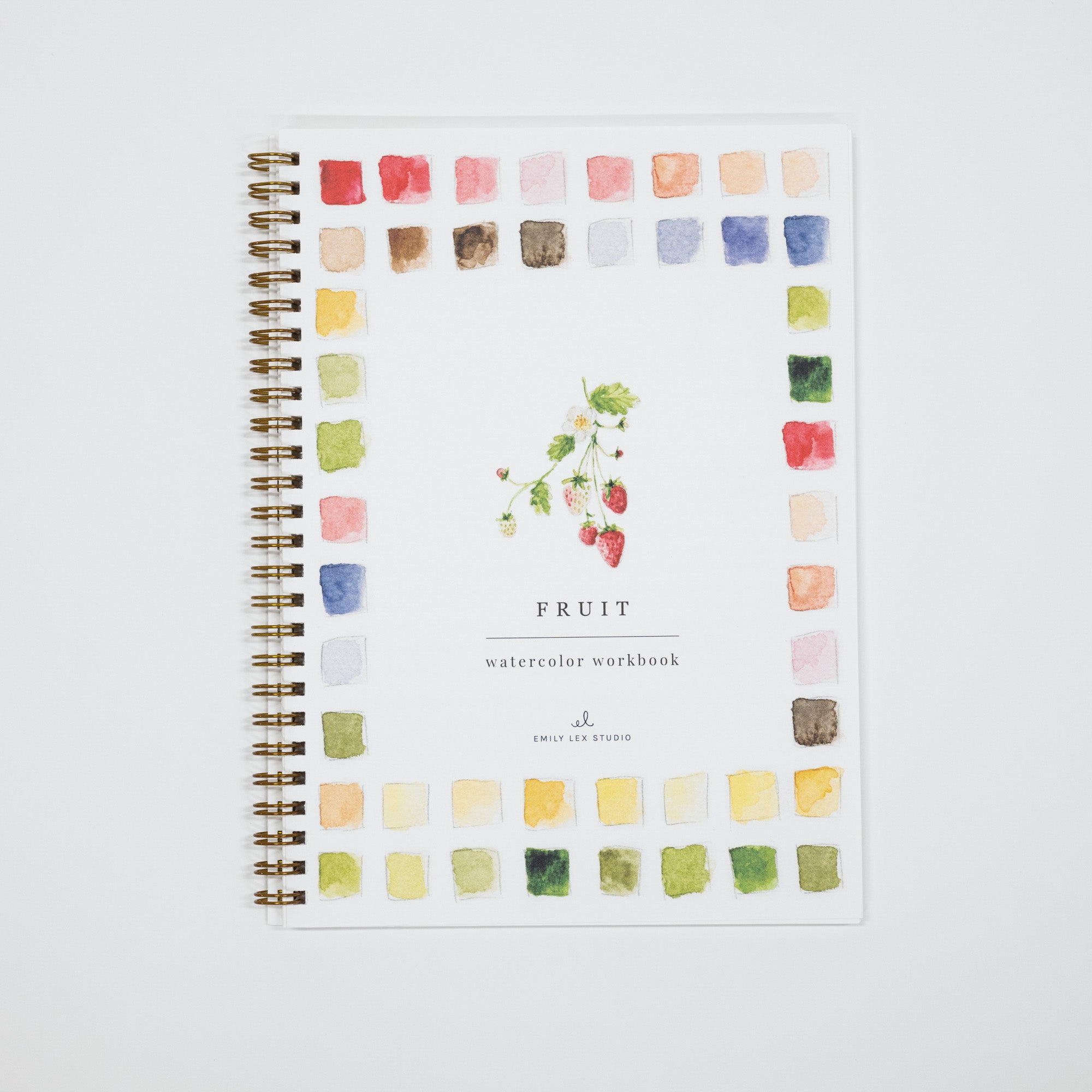 A spiral-bound watercolor workbook titled 'FRUIT' with a border of colorful painted color swatches around the cover and a small fruit illustration in the center, photographed on a light gray background.