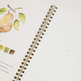 A close-up of an open spiral-bound art journal or sketchbook showing a watercolor pear illustration with a color palette and instructions on one page, and a faint line drawing of a pear on the blank white page next to it.