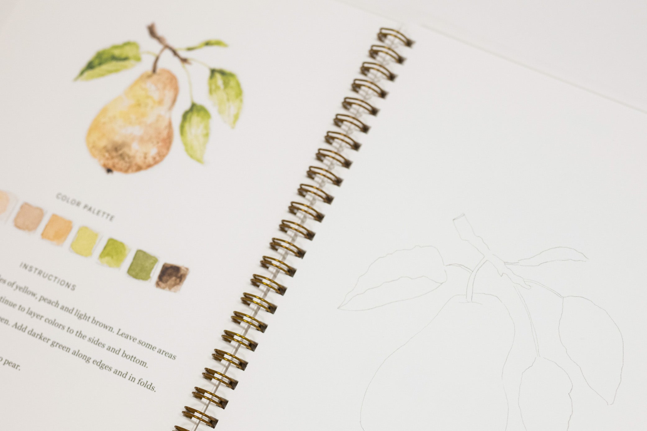 A close-up of an open spiral-bound art journal or sketchbook showing a watercolor pear illustration with a color palette and instructions on one page, and a faint line drawing of a pear on the blank white page next to it.
