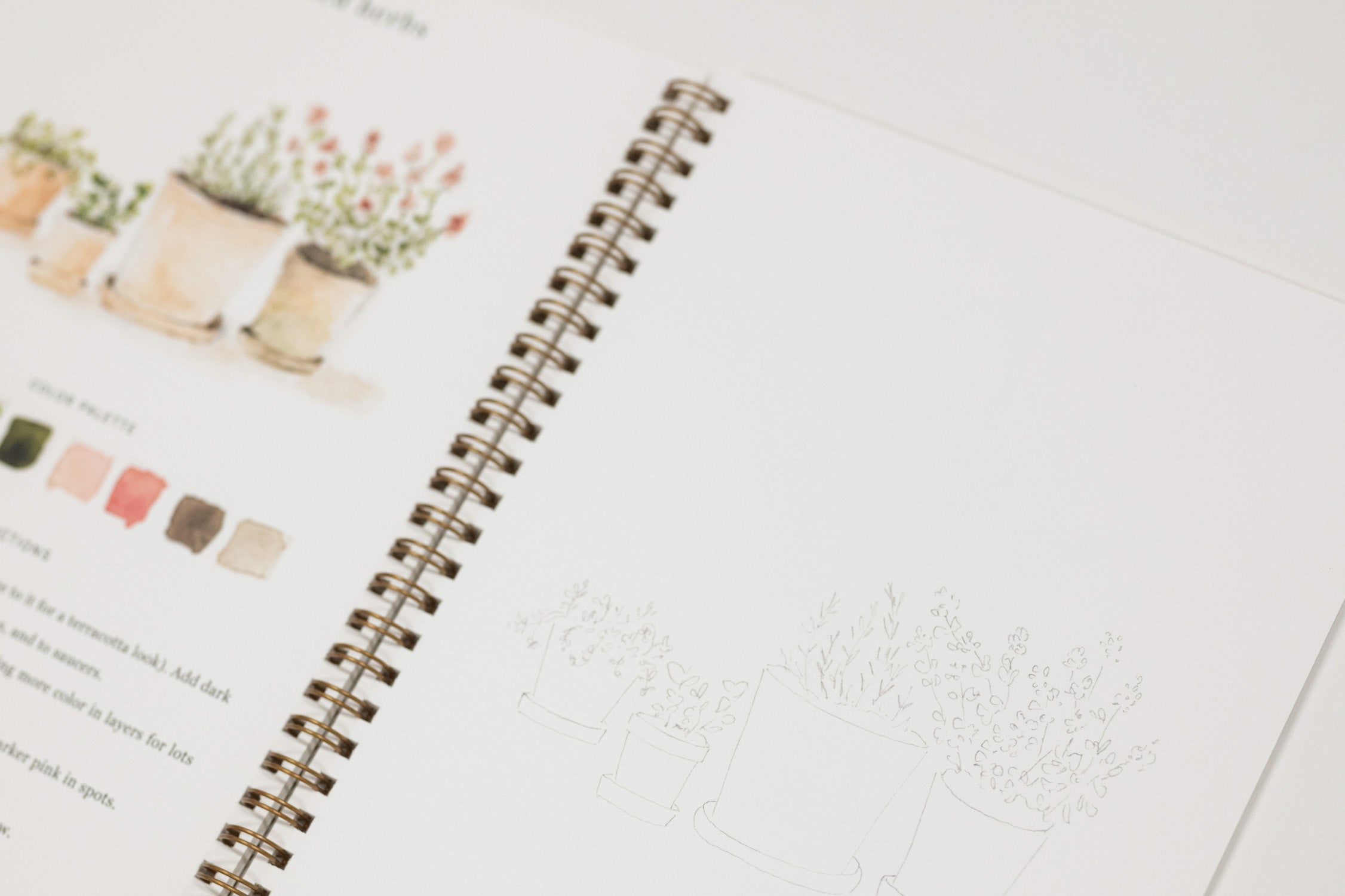 An open spiral-bound art journal or sketchbook showing a watercolor page with potted plants on the left and a lightly sketched plant illustration on the right.