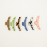 collection of midi sized kaxi hold everything hair claw