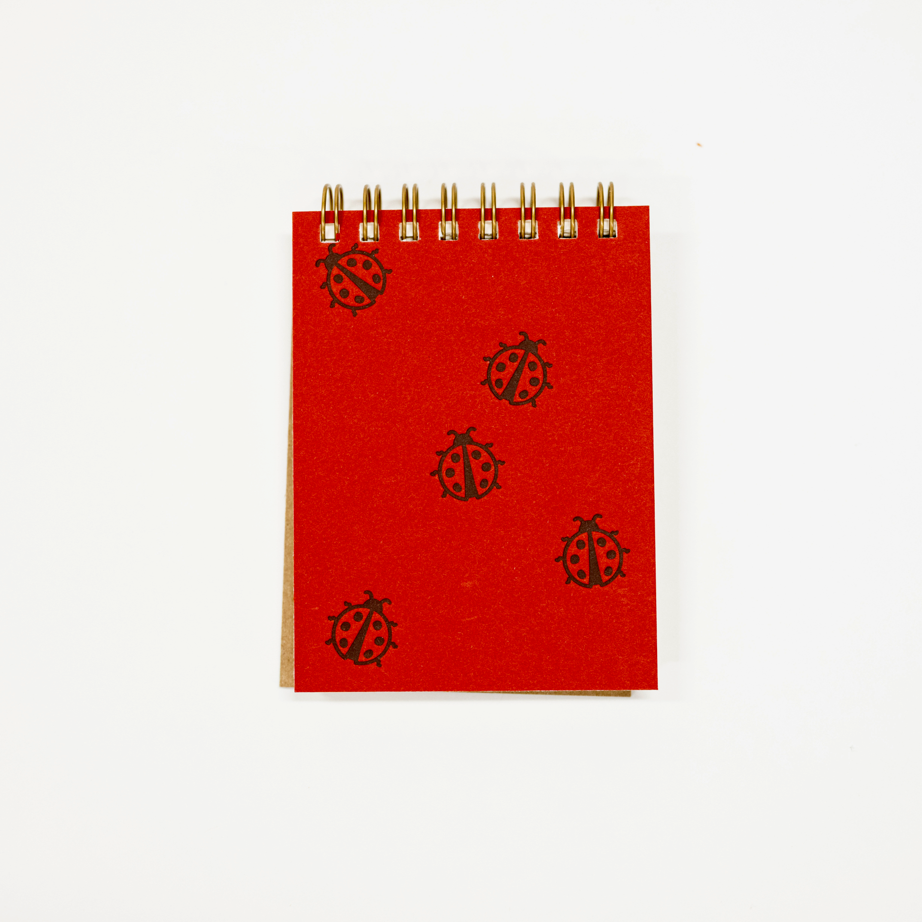 A small red spiral-bound notebook with black ladybug illustrations on the cover, photographed on a plain white background.