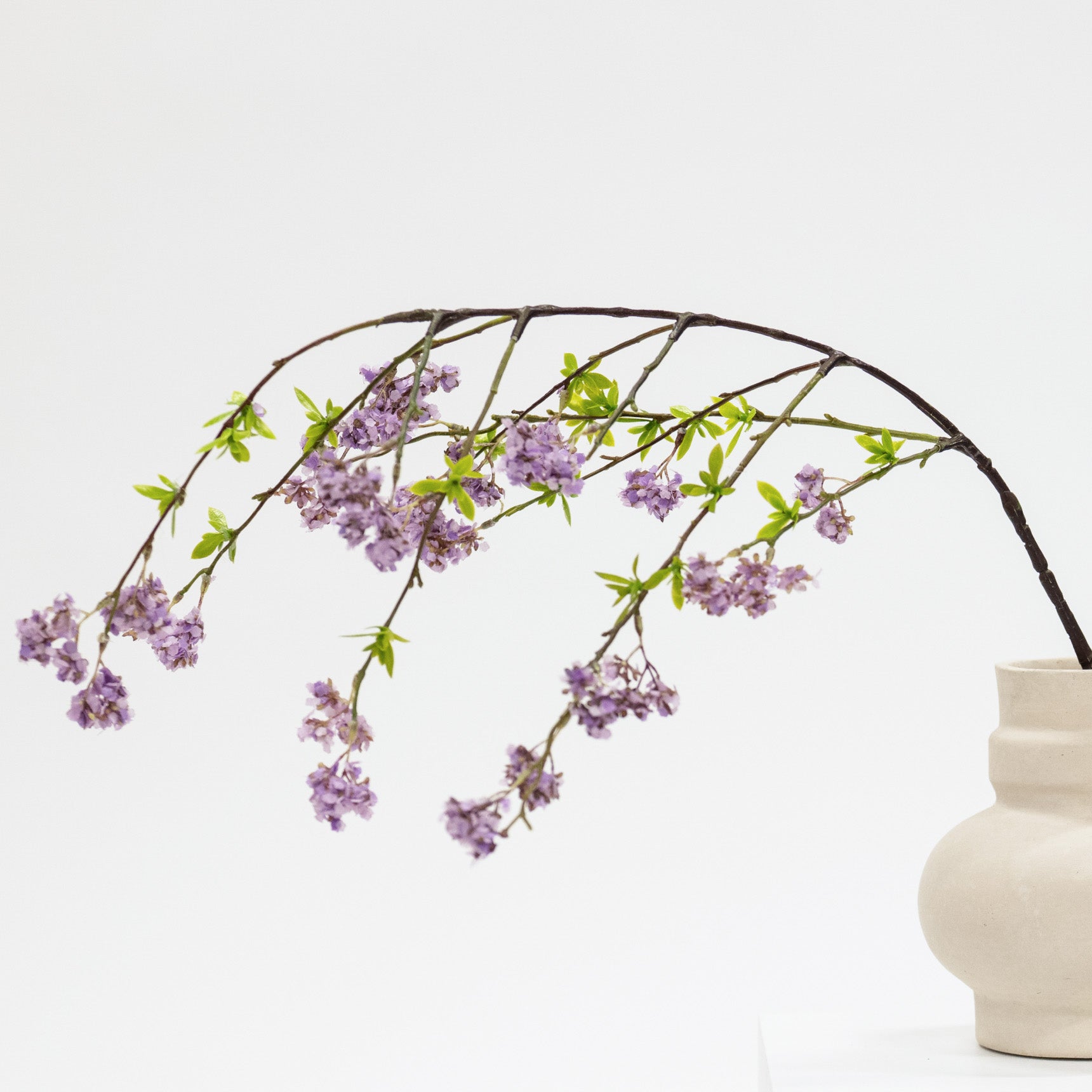Vase with purple flowers and green leaves on a white background