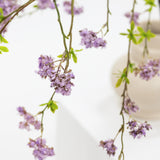 Purple flowers in a vase on a white background