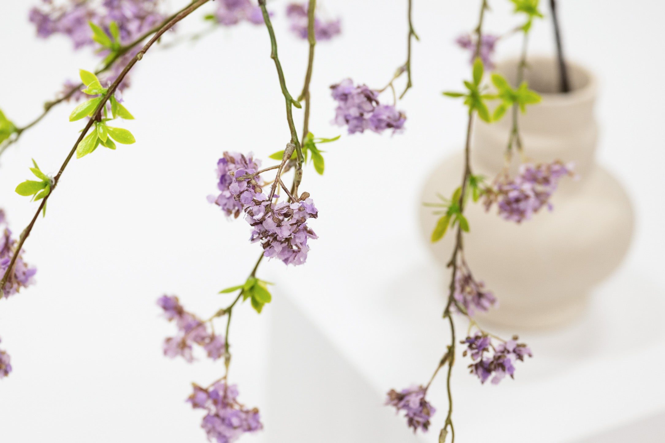 Purple flowers in a vase on a white background