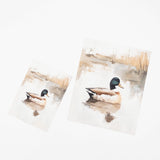 Two watercolor-style art prints depicting mallards on a reflective pond, shown on a clean white background.
