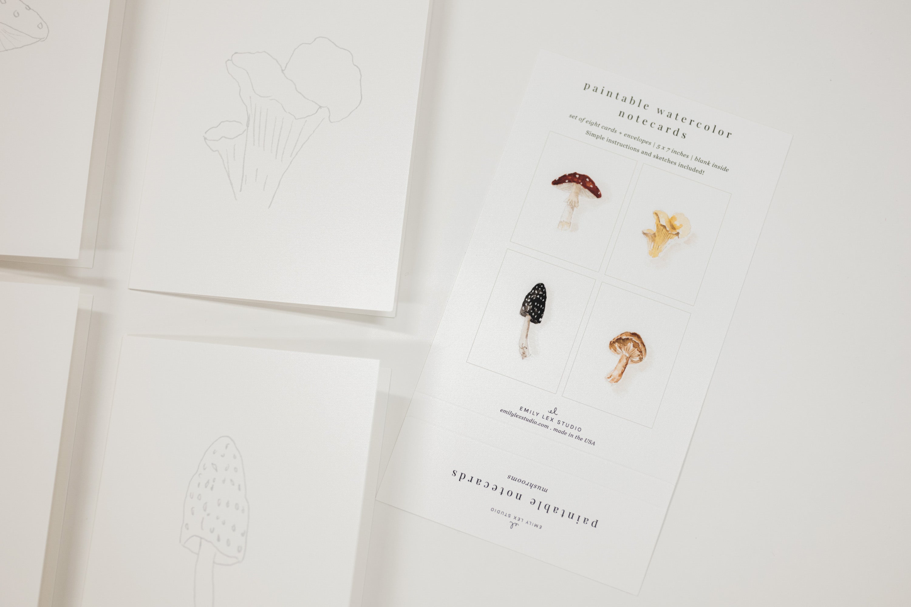Set of 8 watercolor paintable notecards with envelopes. Feature mushroom patterns.