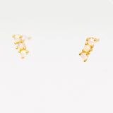 Gold and opal earrings on a white background