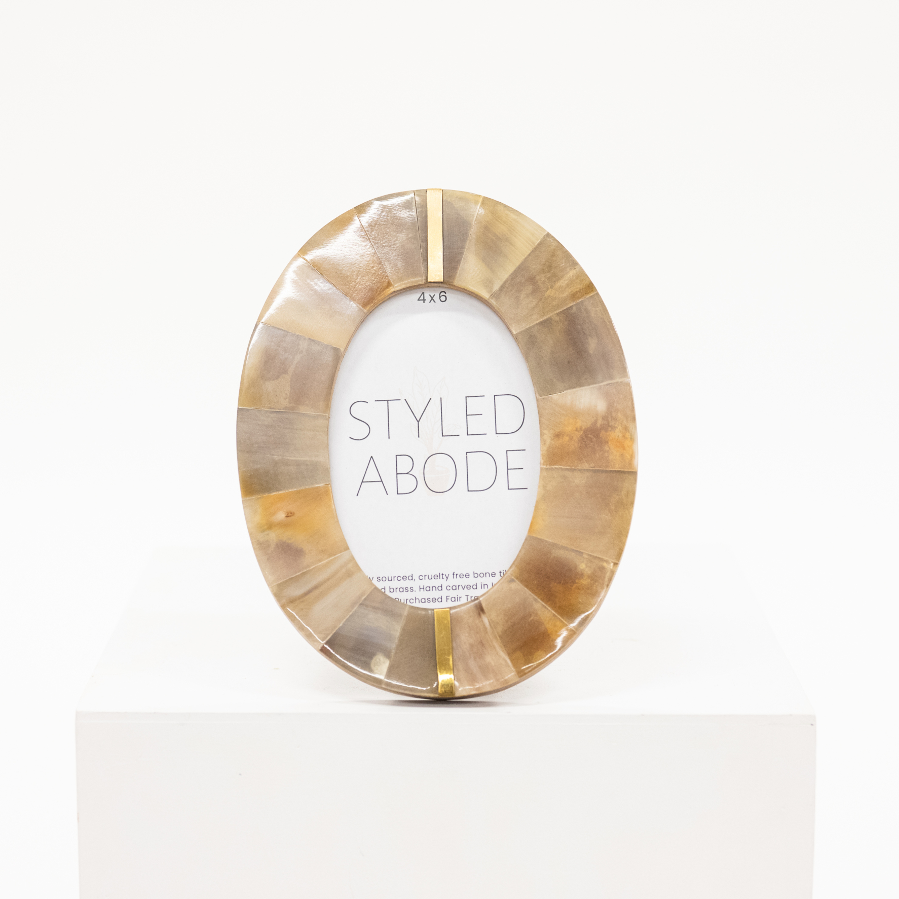 Oval Horn Picture Frame: 4x6