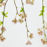 Branches with pink flowers and green leaves on a light gray background