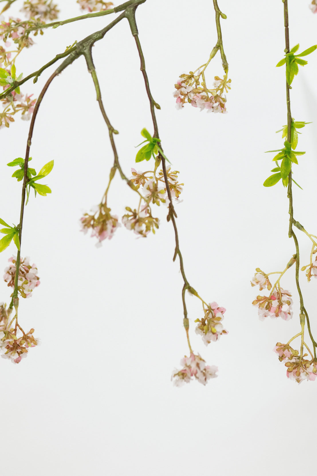 Branches with pink flowers and green leaves on a light gray background