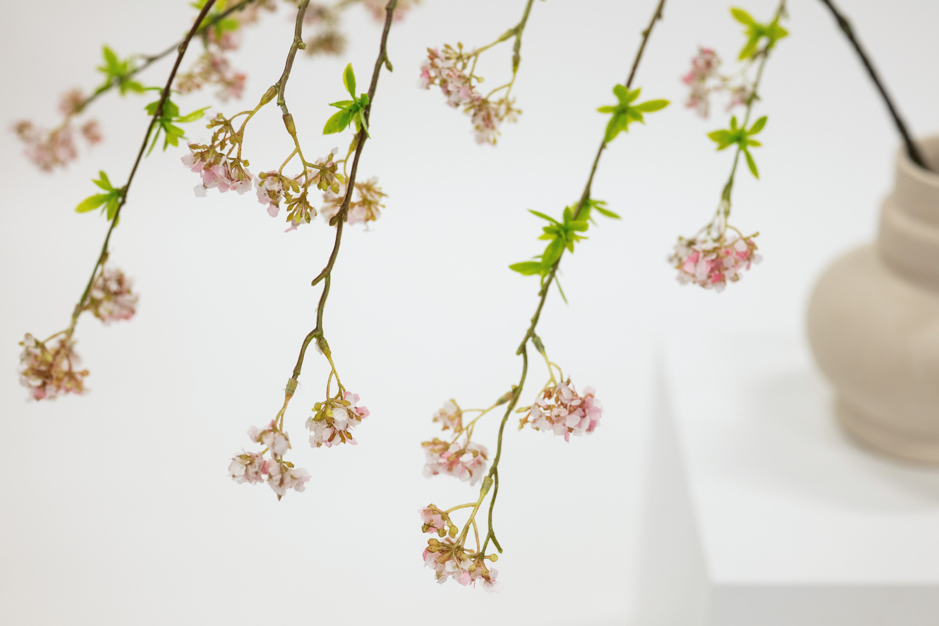 Floral branches with small pink flowers on a light background