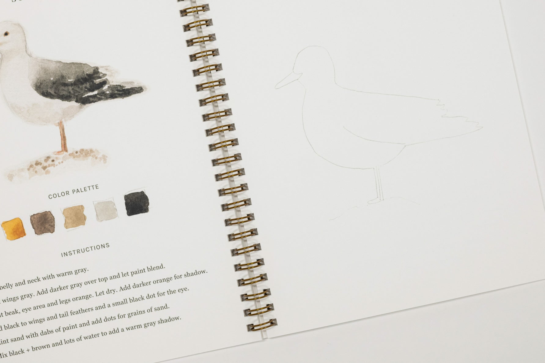 An open spiral-bound art journal or sketchbook showing a bird illustration, a color palette section with paint swatches, and instructions, alongside a faint line drawing of a bird on the right page.