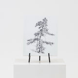 Winter Vintage Art Prints