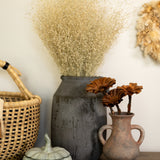 Dried Rice Grass