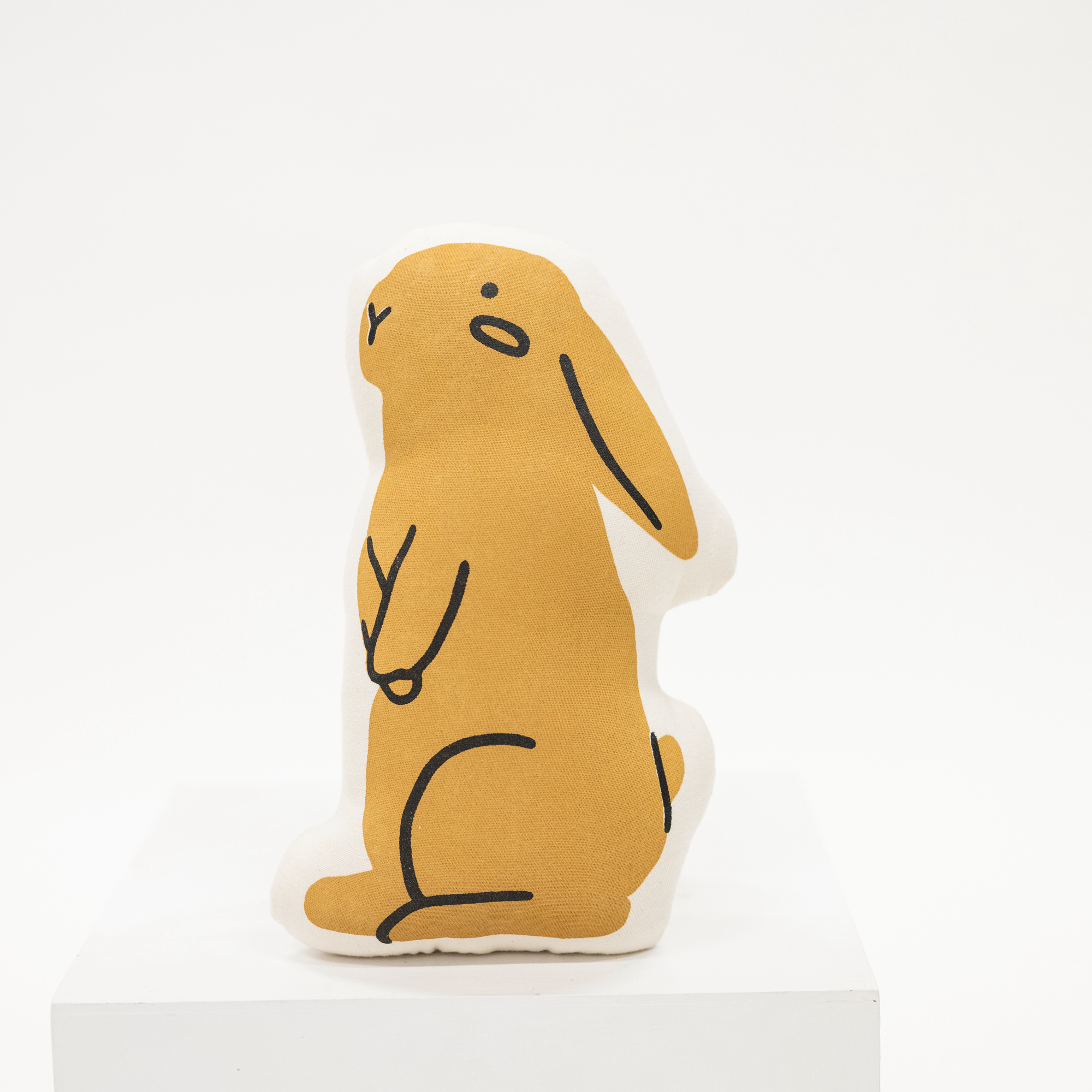 Easter Bunny Canvas Pillow