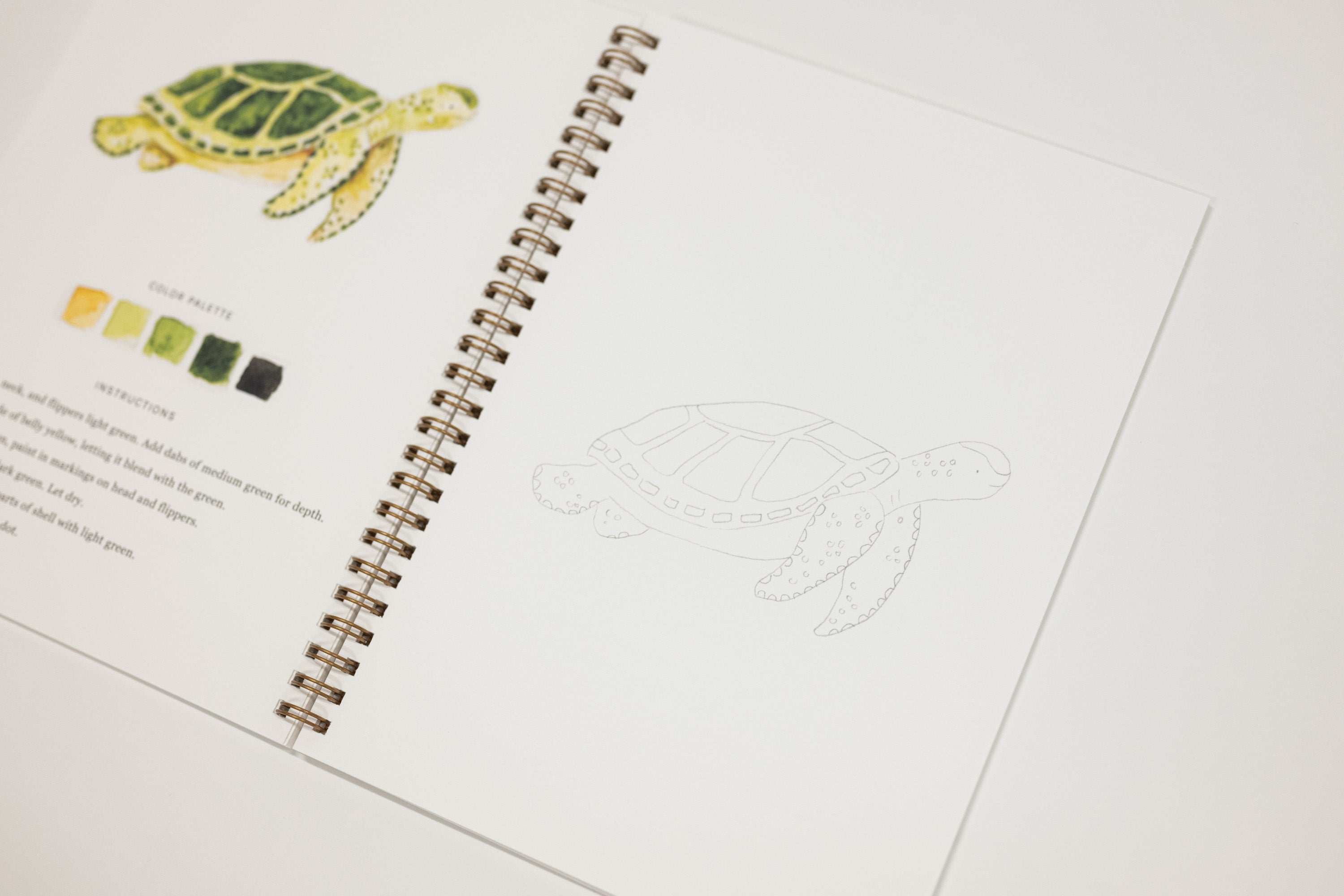An open spiral-bound art journal or coloring book page showing a painted sea turtle on the left, a color palette strip, and a faint outline of the same turtle on the right, photographed on a white background.