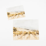 Two small watercolor landscape prints showing a vineyard or field scene, displayed on a plain white background.