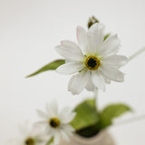 Close-up of a white flower with a blurred background