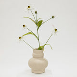 Beige ceramic vase with white flowers on a light gray background