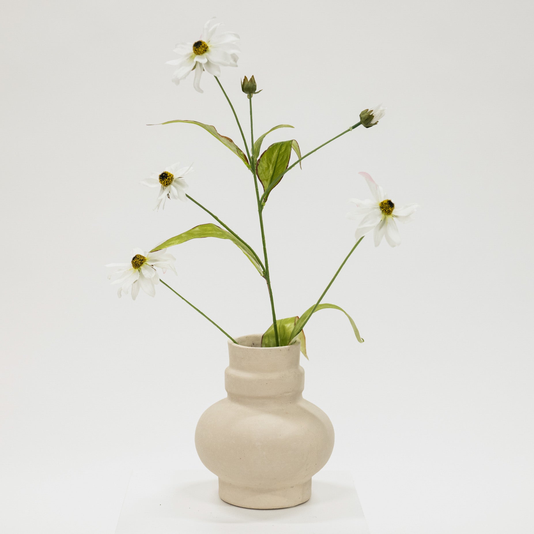 Beige ceramic vase with white flowers on a light gray background