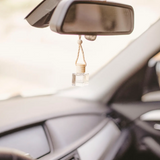 Seasonal Car Diffuser: Fall